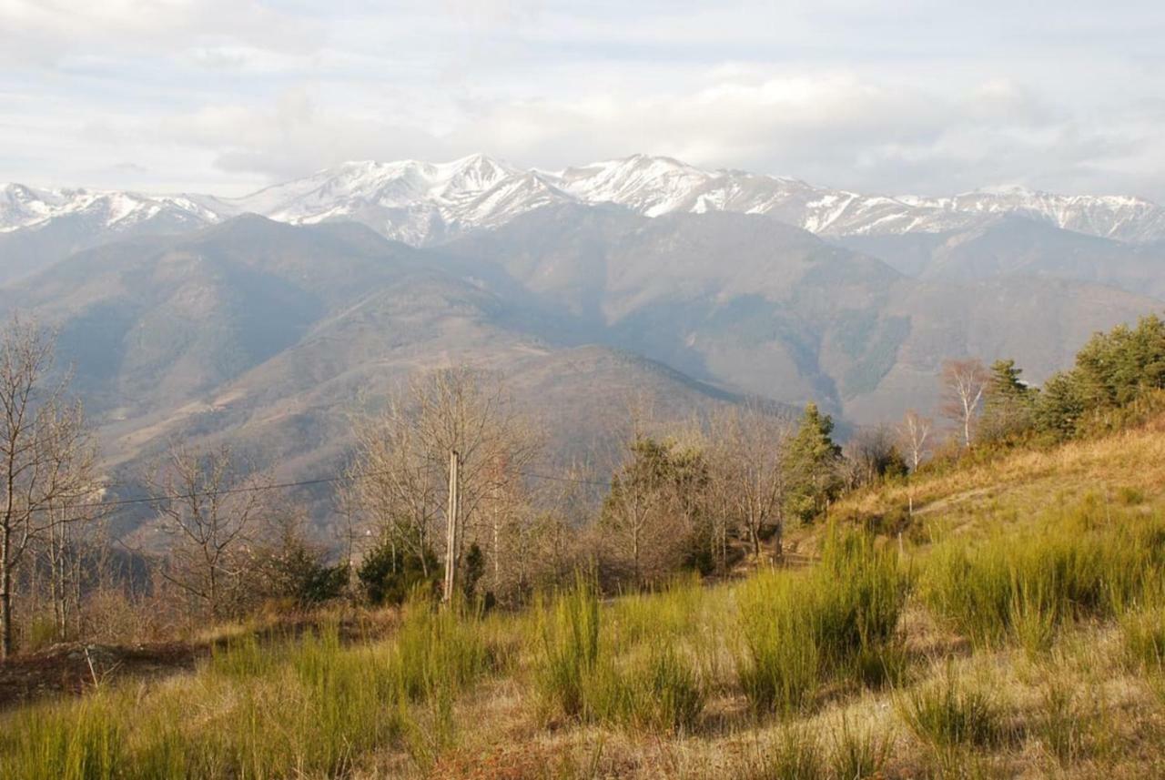 Naturaleza Y Aire Puro En El Pirineo Oriental En Una Bonita Casa Rural De Piedra Пра-де-Молло-ла-Прест Экстерьер фото